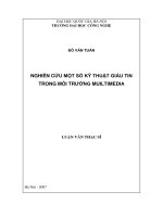 Nghiên cứu một số kỹ thuật giấu tin trong môi trường Multimedia