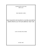 Bảo vệ quyền con người của người làm chứng trong pháp luật tố tụng hình sự Việt Nam