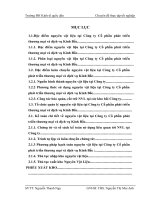 Hoàn thiện kế toán nguyên vật liệu tại công ty Cổ phần phát triển thương mại và dịch vụ Kinh Bắc