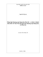 Pháp luật thương mại hàng hoá Hoa Kỳ - cơ hội và thách thức đối với Việt Nam khi giao lưu thương mại hàng hoá với Hoa Kỳ