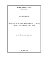 Tội vi phạm các quy định về quản lý rừng trong luật hình sự Việt Nam