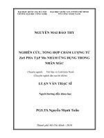Nghiên cứu, tổng hợp chấm lượng tử ZnS Pha tạp Mn nhằm ứng dụng trong nhãn mác