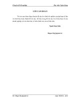 Giải pháp nâng cao hiệu quả sử dụng vốn kinh doanh tại Doanh nghiệp tư nhân Nhật Long