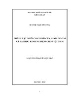 Pháp luật nuôi con nuôi của người nước ngoài và bài học kinh nghiệm cho Việt Nam