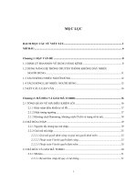 Phương pháp tách sóng lặp áp dụng vào môi trường truyền thông không dây nhiều người dùng