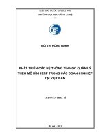 Phát triển các hệ thống tin học quản lý theo mô hình ERP trong các doanh nghiệp tại Việt Nam