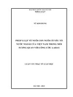 Pháp luật về nuôi con nuôi có yêu tố nước ngoài của Việt Nam trong mối tương quan với Công ước Lahay