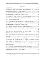 BCTTTN Hoàn thiện kế toán bán hàng và xác định kết quả tiêu thụ tại Công ty CP Thương mại  Đầu tư Vạn Long