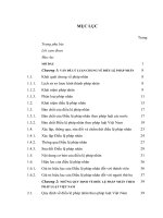 Điều lệ pháp nhân theo pháp luật Việt Nam