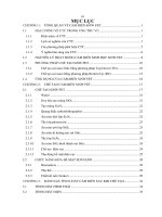 Nghiên cứu chế tạo cảm biến sinh học dựa trên Transistor hiệu ứng trường sợi silic và ứng dụng ban đầu trong phát hiện tế bào lưu chuyển của ung thư vú