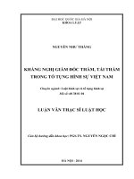 Kháng nghị giám đốc thẩm, tái thẩm trong tố tụng hình sự Việt Nam