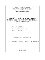 Một số vấn đề khoa học trong nghiên cứu mô phỏng và tính toán chất lượng nước