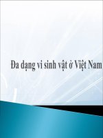 Đa dạng vi sinh vật ở Việt Nam
