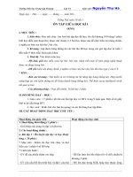 Giáo án: Tiếng Việt tuần 10 tiết 1 ÔN TẬP GIỮA HỌC KÌ I (KNS)