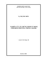 Nghiên cứu về chứng minh tự động (Theorem Proving) trong CafeOBJ