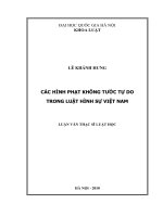 Các hình phạt không tước tự do trong luật hình sự Việt Nam 3