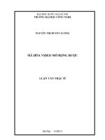 Mã hóa video mở rộng được