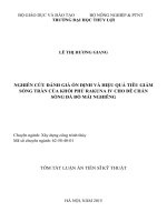 TÓM TẮT LUẬN ÁN NGHIÊN CỨU ĐÁNH GIÁ ỔN ĐỊNH VÀ HIỆU QUẢ TIÊU GIẢM SÓNG TRÀN CỦA KHỐI PHỦ RAKUNA IV CHO ĐÊ CHẮN SÓNG ĐÁ ĐỔ MÁI NGHIÊNG