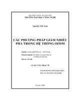 Các phương pháp giảm nhiễu pha trong hệ thống OFDM
