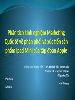 PHÂN TÍCH KINH NGHIỆM MARKETING QUỐC TẾ VỀ PHÂN PHỐI VÀ XÚC TIẾN SẢN PHẨM IPHONE 2G VÀ IPAD MINI CỦA TẬP ĐOÀN APPLE