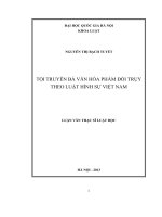Tội truyền bá văn hóa phẩm đồi trụy theo Luật Hình sự Việt Nam