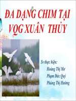 Đa dạng chim tại vườn quốc gia Xuân Thủy