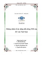 Những nhân tố tác động đến FDI của EU vào Việt Nam
