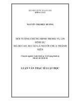 Đối tượng chứng minh trong vụ án hình sự mà bị can, bị cáo là người chưa thành niên