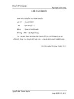 Chiến lược phát triển kinh doanh cho công ty TNHH Hồng Thủy