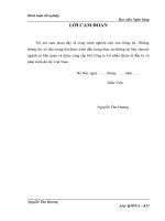 Giải pháp tiền lương để nâng cao hiệu quả hoạt động tại công ty Cổ phần Quản lý đầu tư và phát triển đô thị Việt Nam