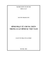 Hình phạt tù chung thân trong Luật hình sự Việt Nam