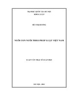 Nuôi con nuôi theo pháp luật Việt Nam