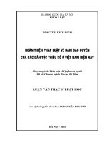 Hoàn thiện pháp luật về đảm bảo quyền của các dân tộc thiểu số ở Việt Nam hiện nay