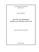 Nguyên tắc bình đẳng trước Luật Hình sự Việt Nam
