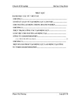 Công tác tạo động lực làm việc cho người lao động tại công ty TNHH GoldenDolphin