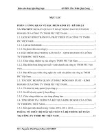 Tổ chức bộ máy kế toán và hệ thống kế toán tại công ty TNHH pic việt nam