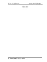 Tổ chức bộ máy kế toán và hệ thống kế toán tại Công ty TNHH Công Nghệ Tin Học và Viễn Thông Triệu Gia