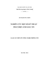 Nghiên cứu một số kỹ thuật phát hiện ảnh giấu tin