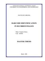 Barcode identification in blurred images