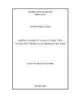 Những vấn đề lý luận và thực tiễn về lỗi vô ý trong luật hình sự Việt Nam