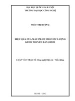 Hiệu quả của mẫu Pilot cho ước lượng kênh truyền dẫn OFDM
