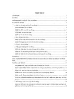 Tình hình huy động vốn và sử dụng vốn lưu động tại Công ty Cổ phần May và thương mại Tiên Lữ