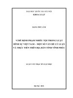Chế định phạm nhiều tội trong luật hình sự Việt Nam - một số vấn đề lý luận và thực tiễn trên địa bàn tỉnh Vĩnh Phúc