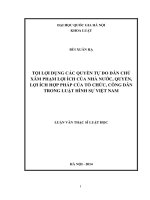 Tội lợi dụng các quyền tự do dân chủ xâm phạm lợi ích của Nhà nước, quyền, lợi ích hợp pháp của tổ chức, công dân trong luật hình sự Việt Nam