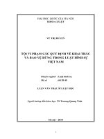 Tội vi phạm các quy định về khai thác và bảo vệ rừng trong luật hình sự Việt Nam 2