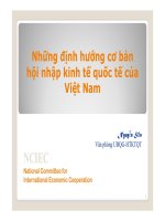 Những định hướng cơ bản hội nhập kinh tế quốc tế của hội nhập kinh tế quốc tế của Việt Nam