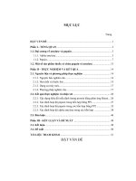 Đề tài Đánh giá sự biến đổi hoạt độ enzym của hỗn hợp Papain và Amylase dạng bột và dạng dung dịch trong điều kiện lão hoá cấp tốc