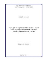 Vật liệu tổ hợp cấu trúc Micro-Nano trên nền PZT Nghiên cứu chế tạo và các tính chất đặc trưng