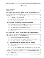 Giải pháp hạn chế rủi ro trong hoạt động cho vay của Ngân hàng No&PTNT Tiền Hải