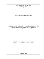 Tội hợp pháp hóa tiền, tài sản do phạm tội mà có trong luật hình sự Việt Nam